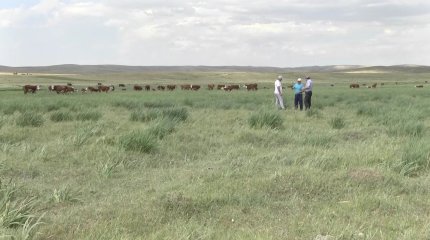 «Фермерлер 3 жылдан бері субсидияны уақытында алмайды», - Е. Саиров