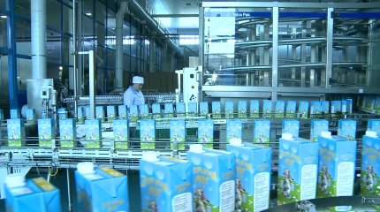 Қызылжарда қияр мен қызанақты топырақсыз өсіру технологиясы меңгеріліп жатыр