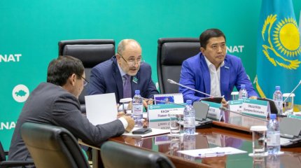 Исполнение поручений Президента саботируют на местах, – AMANAT