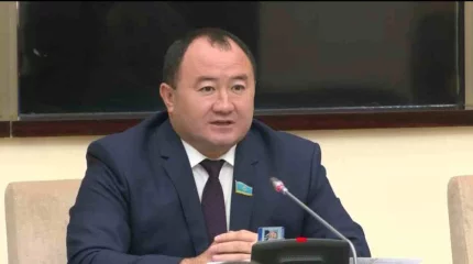 "Баладан бас тартқандарға айыппұл салу керек": Депутат Қазақстанда асырап алған баланы қайта балалар үйіне жіберетіндердің саны өскенін мәлімдеді