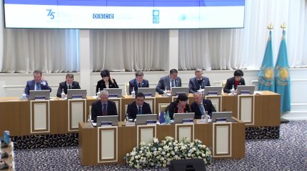 Семь правовых норм признаны неконституционными с начала года