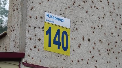 Каракурты завелись в многоквартирном доме Уральска