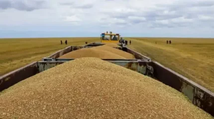 Қазақстан Қытайға астық жеткізуден жаңа рекорд орнатты