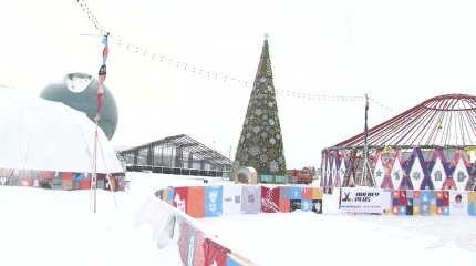 "Жаңа жылдық шыршаға бюджеттен қаржы бөлудің қажеті жоқ",- тұрғын