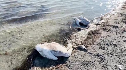 В отношении Rixos Water World Aktau могут возбудить административные дела