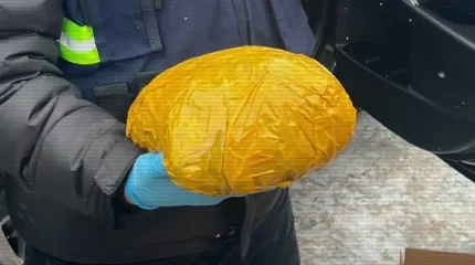 Жамбыл облысында өткен жылы 6 тоннаға жуық есірткі тәркіленді