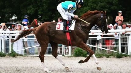 Дубайдағы бәйгеде қазақстандық сәйгүлік жеңіске жетті