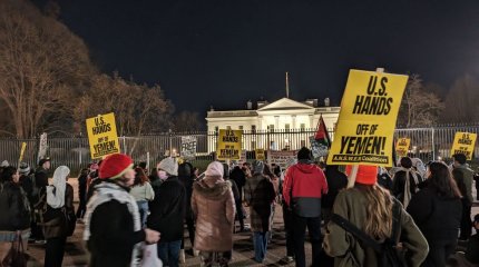 Многотысячная акция в поддержку прекращения огня в секторе Газа прошла в Вашингтоне