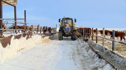 Проект переселения городской молодёжи в село первой запустила ЗКО