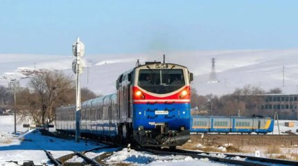 Поезд сбил несколько лошадей в Павлодарской области