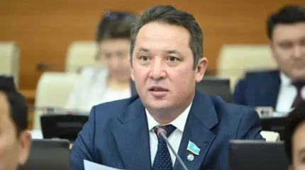 «Күнін әрең көріп жүргендерге салық салып жатырсыздар»: Депутат мобильді аударым мәселесін қайта қарауды талап етті