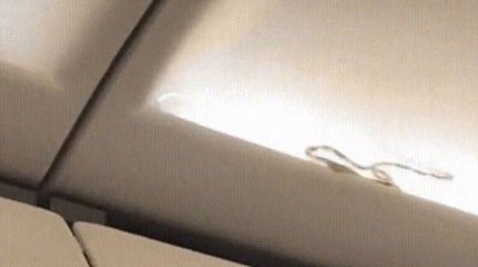 Ұшақтағы жылан жолаушылардың зәресін алды