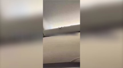 Жолаушылар ұшағында жылан жүр