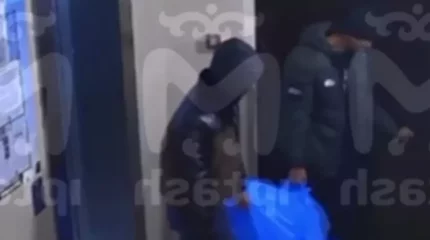 Жантүршігерлік қылмыс: әйел адамның бөлшектелген денесі кәріз құдығынан табылды