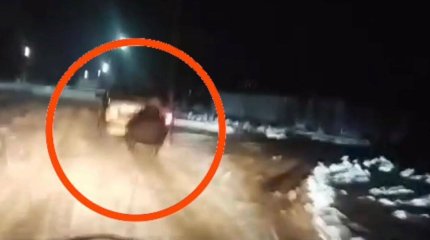 Прикрепил к машине сани и катал на них детей: водителя наказали за опасную забаву в Жамбылской области