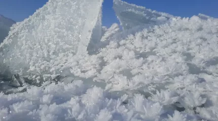 АҚШ-та суық ауа райынан 47 адам қайтыс болды