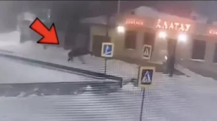 Елордада үйіне келе жатқан ер адам күтпеген оқиғаға тап болды