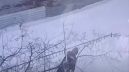 "Көмек керек": Желіде күйеуі әйел мен балаларын қорқытқан видео тарады