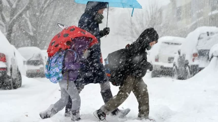 АҚШ-та күн күрт суытып, 61 адам көз жұмды