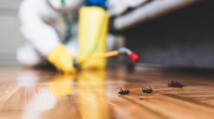 Пятеро уральцев отравились при травле тараканов