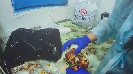 Тауық етіне тыйым салынған затты жасырған