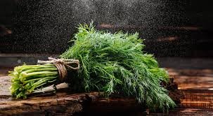 Атыраулық тұрғынға 20 мың теңгеге укроп сатып жіберген