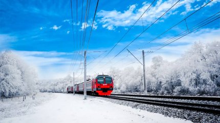 В Пермском крае проводница высадила пассажиров в лесу — за 51 км до станции.