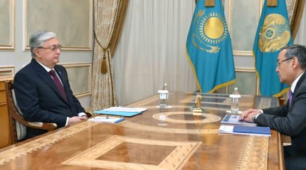 Глава государства принял президента Национальной академии наук