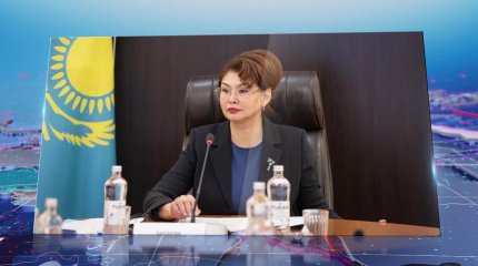 "Резонанс тудырған 11 іс ерекше бақылауға алынды",-А.Балаева