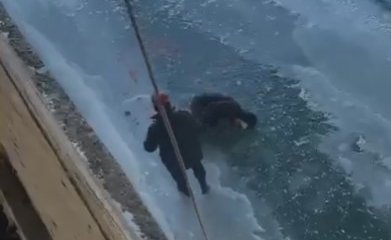 Спасательную операцию развернули в Усть-Каменогорске ради упавшего с моста мужчины