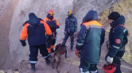 Комиссия апатқа 7 адамды күдікті деп таныды