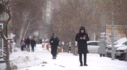 Жалған ақпарат таратқандардың 55% – ішімдік ішкендер