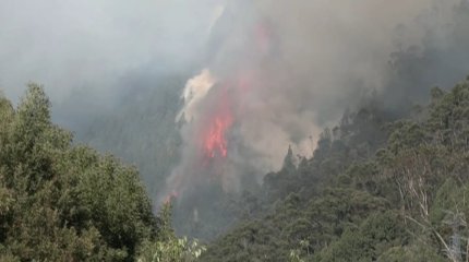В церкви Германии вскрыты тысячи случаев сексуального насилия