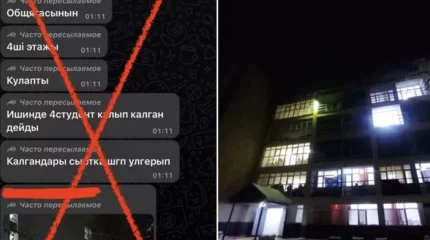 Двух алматинок наказали за фейки о землетрясениях