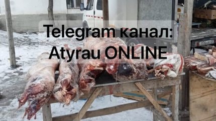 Сайгачье мясо начали продавать на рынке Атырау