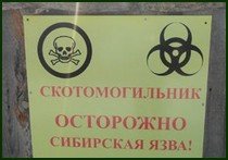 33 бесхозных захоронения очагов сибирской язвы нашли в Жетісу