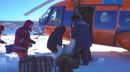 От голодной смерти спасли лошадей с дальних зимовок в ВКО