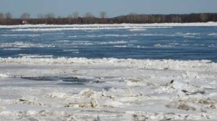 Сырдарияда сең жүріп жатыр