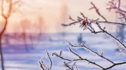 Елімізде аяз күшейеді. 4-6 қаңтарға ауа райы болжамы