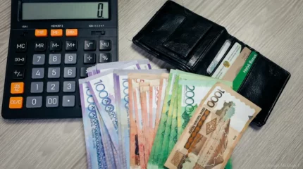 Қазақстанда несие алушылардың көбі – әйелдер