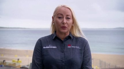 Австралияда акула адамдарға шабуыл жасады