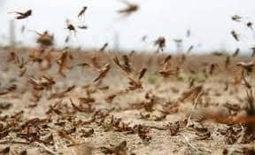 Шегірткемен күреске 4 млрд теңгеге жуық қаражат бөлінді