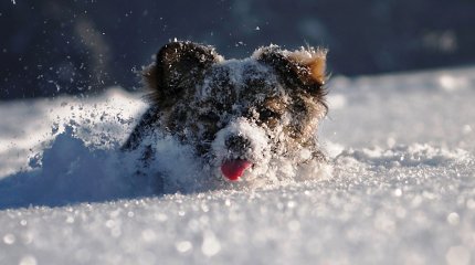 Осадки не отступают на большей части Казахстана