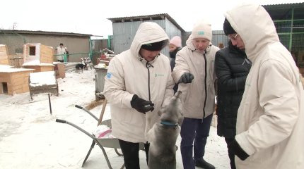 Қарағандыда  «AMANAT» партиясының «Жастар рухы» Жастар қанатының белсенділері жануарлар баспанасына барды