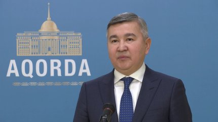 Мемлекет басшысы «Бәйтерек» ұлттық басқарушы холдингі» АҚ басқарма төрағасы Нұрлан Байбазаровты қабылдады