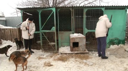 Активисты «Жастар рухы» помогают приюту для животных в Караганде
