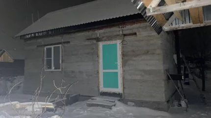 "Анасы 3 күн қараусыз қалдырған": 4 айлық сәби шетінеді