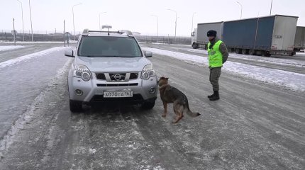 О модернизации пункта пропуска на казахстанско-российской границе высказался аманатовец