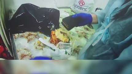 Запрещённые предметы в курицах попытался передать в СИЗО павлодарец