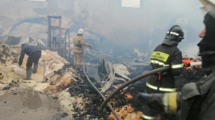 Қызылордада күріш зауытында шыққан өрттен 240 тонна өнімге зақым келді